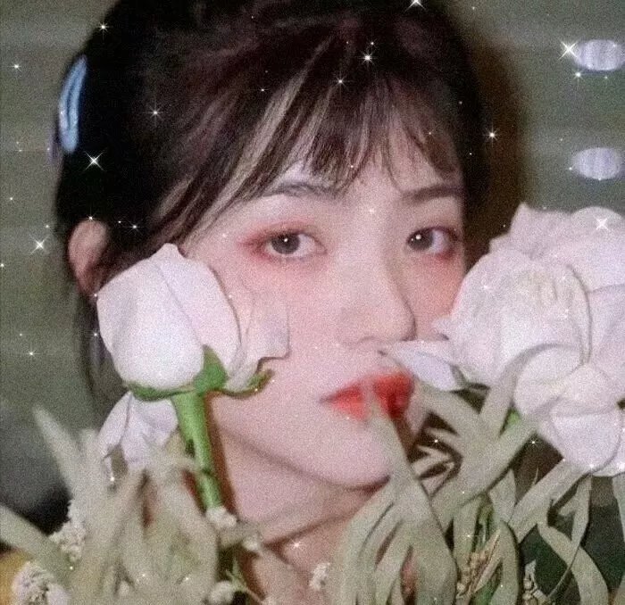 情杀疑云